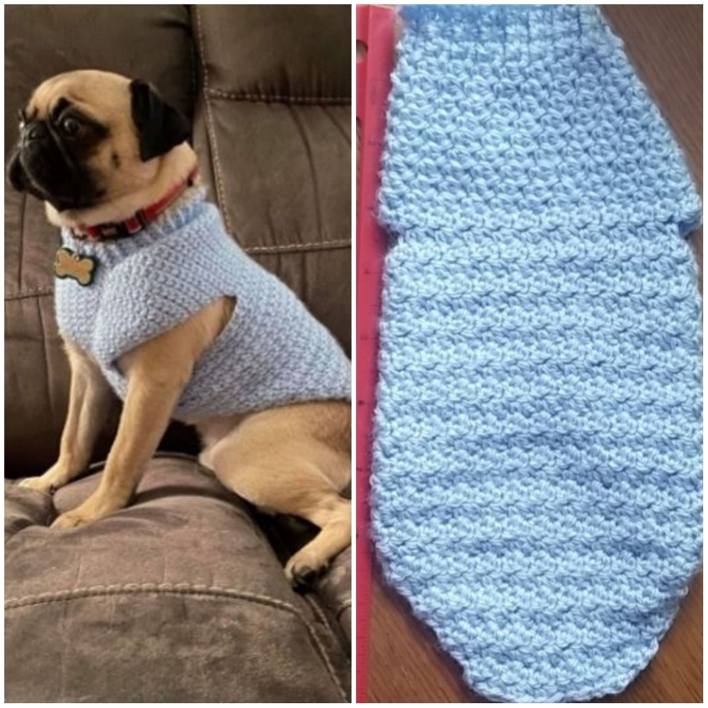 Teacup dog sweater handmade